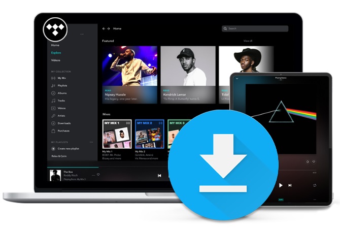 tidal songs to music library