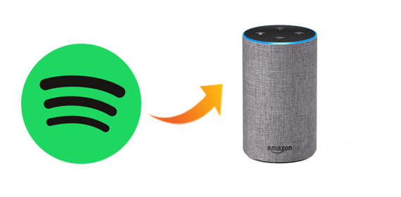 Using spotify with amazon sales echo