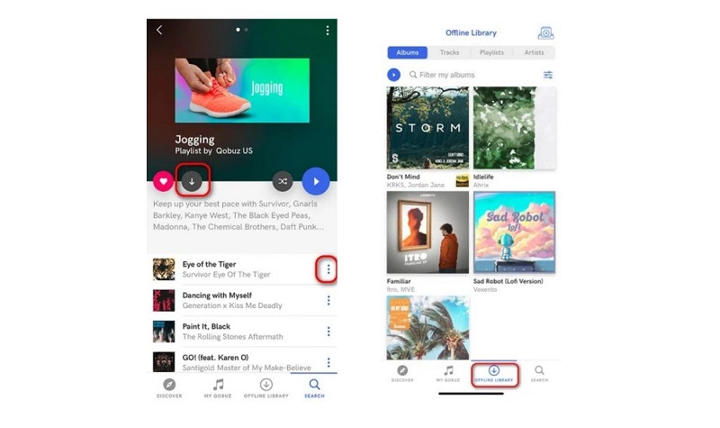 Download Qobuz songs for offline listening