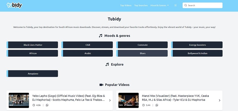 Tubidy MP3 Downloader for Free