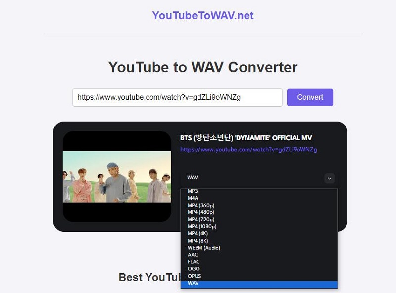 YouTubetoWAV YouTube to WAV Converter