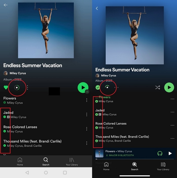 download music from Spotify mobile