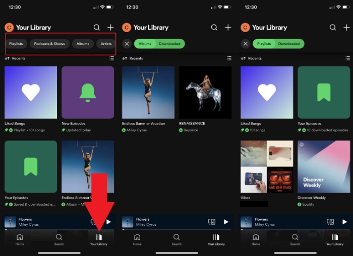 listen to Spotify on mobile offline
