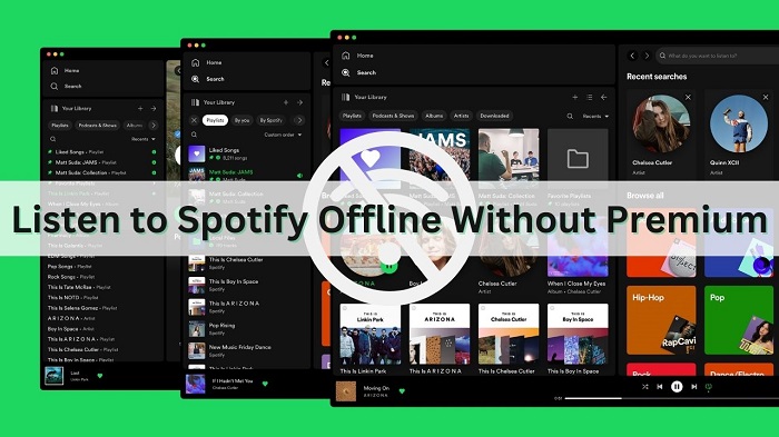 Listen to Spotify Music Offline Without Premium