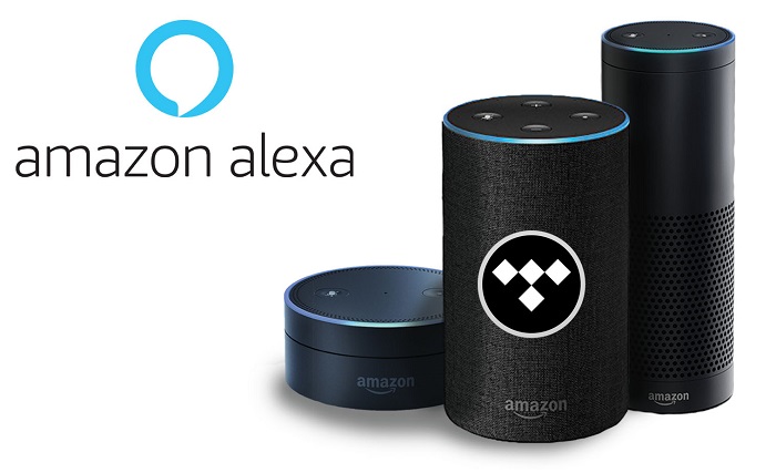 can you play tidal on amazon echo