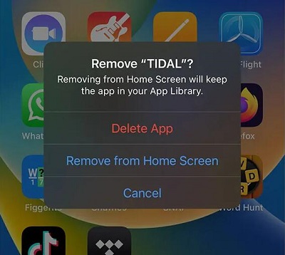 Uninstall the Tidal cache on iPhone