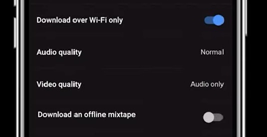 Turn on Offline Mixtape YouTube Music on iPhone